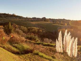 Apartamentos Casa Giulia