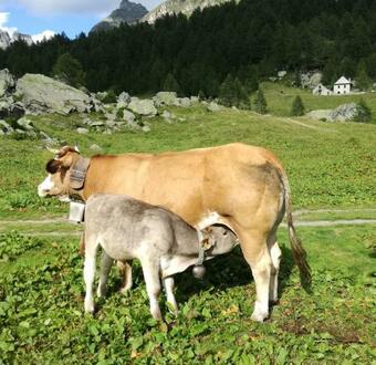 Bed & Breakfast Voglia Di Veglia