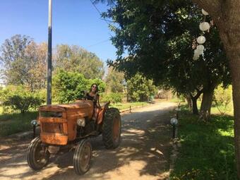 House With One Bedroom In Assemini With Furnished Garden And Wifi 12 Km From The Beach