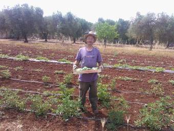 Agroturismo Agriturismo Salento Pietralata