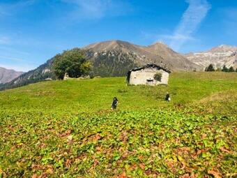 Apartamento Casa Della Neve