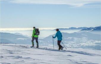 Amazing Apartment In Forni Di Sotto With Wifi And 2 Bedrooms