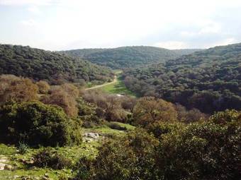 Galilee Bedouin Camplodge