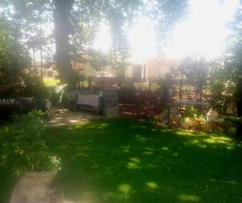 Lodge Brush And Wind