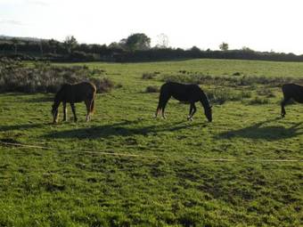 Tom And Eileen's Farmhouse B&B