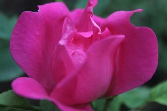 Agroturismo Societa' Agricola Lambure Srl