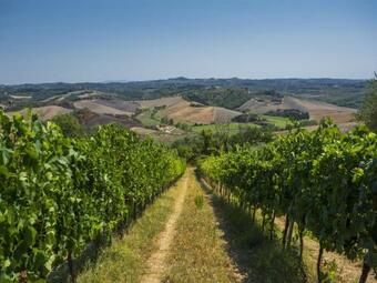 Lush Farmhouse In Gambassi Terme-fi With Tennis Court