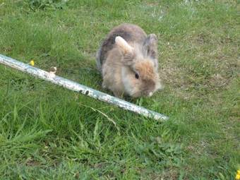 Bed & Breakfast Edda's Farmhouse In Town