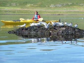 Country Hotel Heydalur