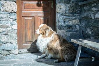 Apartamento Seconda Stella A Destra