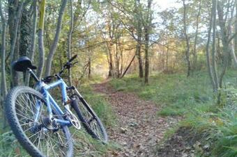 Apartment With One Bedroom In Villa Di Sotto With Wonderful Mountain View Enclosed Garden And Wifi 25 Km From The Slopes