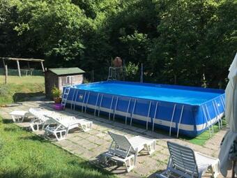 Apartment The Crocodile Feel The Nature