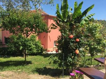 Apartamento Casa Rosa