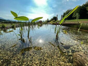 Bed & Breakfast Casa Viva