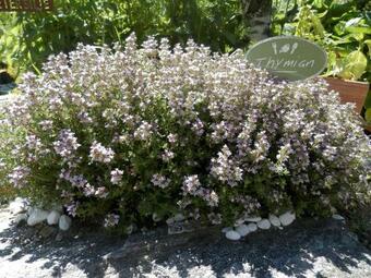 Apartamento Golserhof Kristall