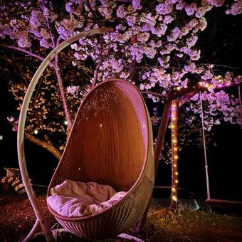 Music Forest Villa&camp