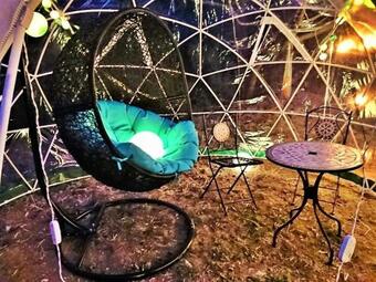 Tree Club - Vacation Stay 13261v