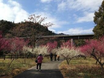 Hotel Avan Sukumo - Vacation Stay 94475