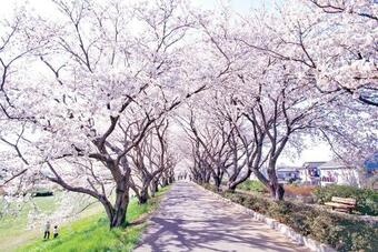 Hotel Hoshino Resort Beb5 Tsuchiura