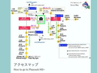 Peacock Hill - Vacation Stay 10728