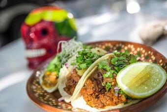 Villa Modern Jungle Home & Watchtower Casa Fortuna Tulum