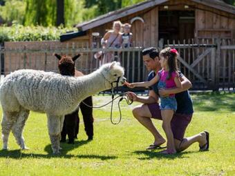 Holiday Home Europarcs Resort Zuiderzee-12