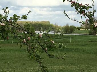 Bed & Breakfast De Lindebloesem