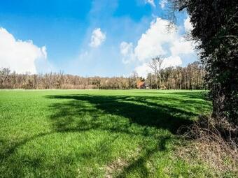 Modern Holiday Home In Reutum With Terrace