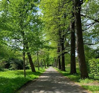 Eco Hotel Plantage Rococo