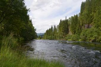 D�skelandslia Camping