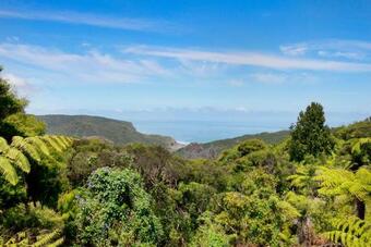 Piha - City Escape, Piha Holiday Home