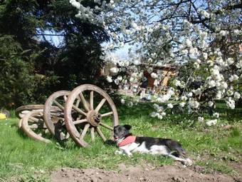 Hostal Nagy Vend�gh�zak