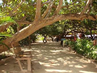 Paradise Beach Hotel