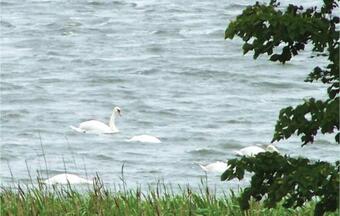 Two-bedroom Holiday Home In Osieki
