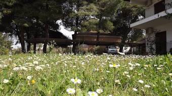 Pefka Studios & Apartments