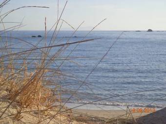 Blue Harmony Apartments