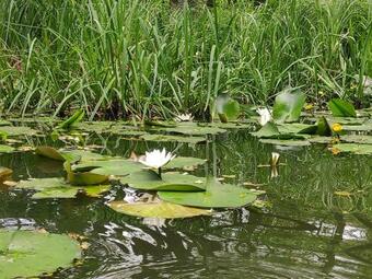 Villa Agroturystyka Chycina