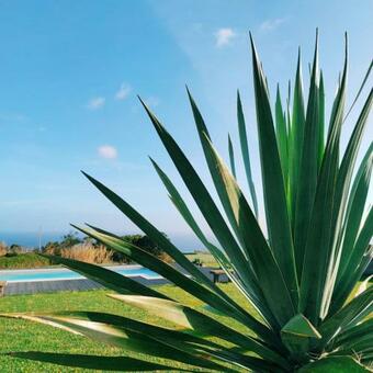 Casas Do Forneiro A Casa Casa Para Casal Com Piscina E Vista Magn�fica