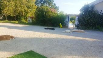 Apartamento Studio In Santiago Do Cacem With Private Pool And Wifi