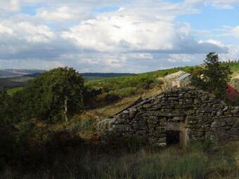 Comfortable Rural Cottage In Ancient Village In The Douro Region