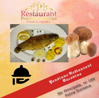 Hostal Pensiunea Restaurant Bucovina (carmeniasrl)