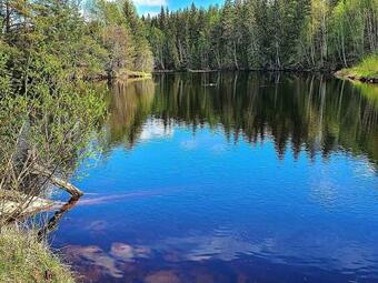 Holiday Home Skattungbyn Orsa