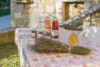 House In The Vineyards