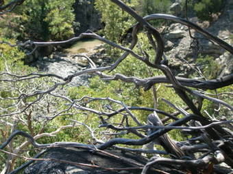 Hostal Studios La Kastania