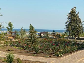 Grand Family Apartment 1513