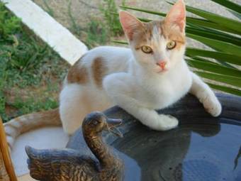 Apartamento Horizon View Studios