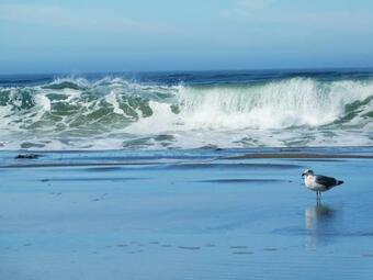 Sea Breeze! Walk To Beach!! In The Village! Bbq! Fast Wifi!! Dog Friendly!