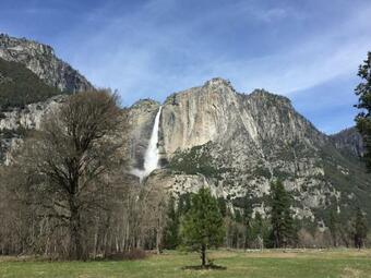 Carriage House At Yosemite
