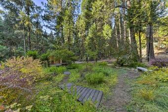 Amber Cabin With Hot Tub, Near Top Vineyards!