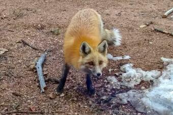Cripple Creek Home With Views - Near Pikes Peak!